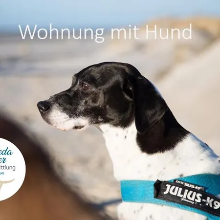 Dom wakacyjny Hanjes Kapitaenshaus *