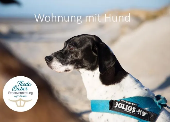 Vakantiehuis Hanjes Kapitaenshaus *