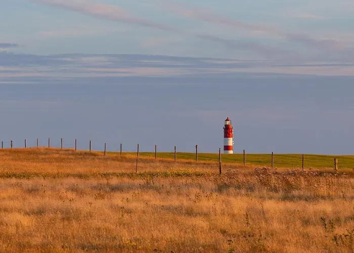 Hanjes Kapitaenshaus Nebel